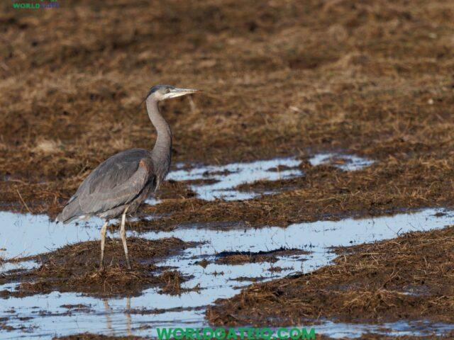 Which Travel Companies Offer Packages Including Ancient Ruins in Iraq?