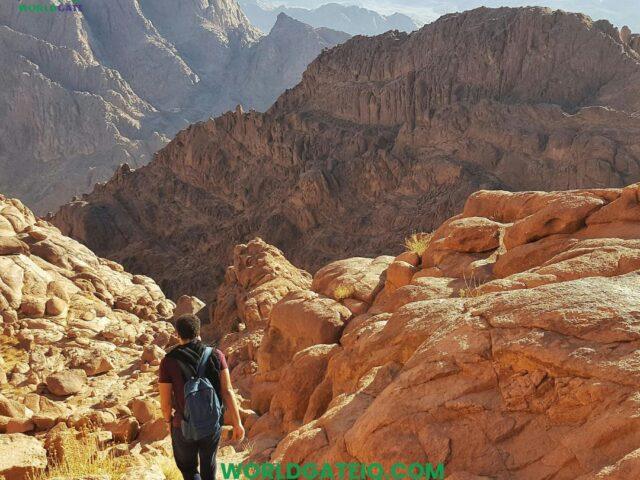 Which Travel Agencies Specialize in Karbala Religious Tours for US Travelers?