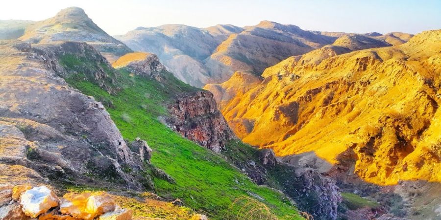 زرباطية زرباطية