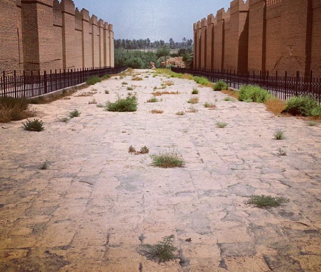 شارع المواكب بابل – Babylon شارع المواكب بابل - Babylon